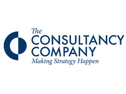 The Consultancy Company